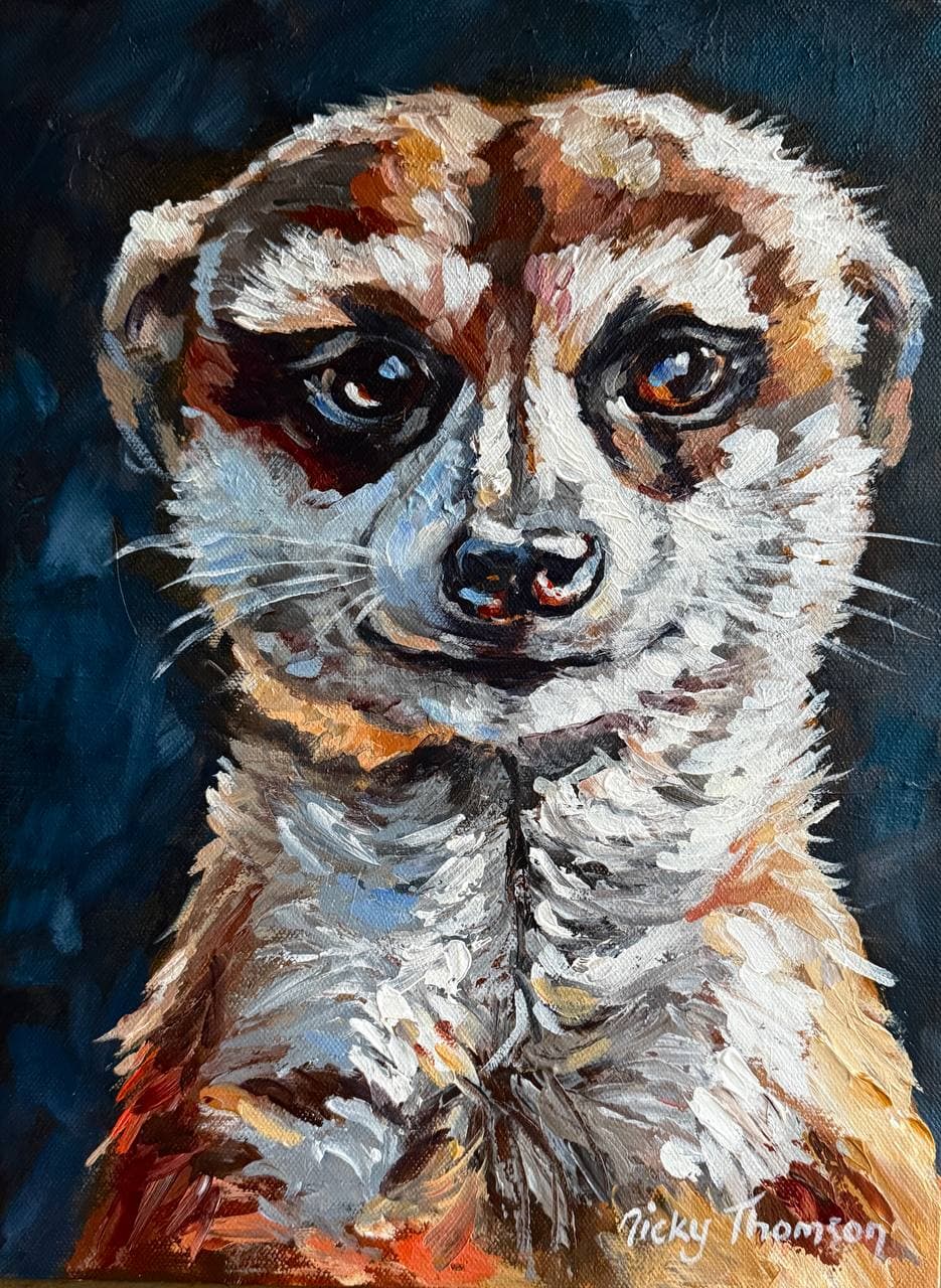 Meerkat