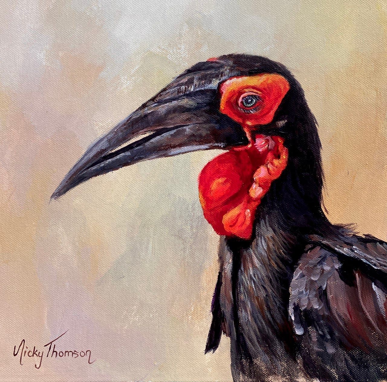 Curious Hornbill